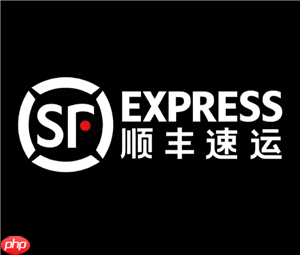 顺丰速运是特快吗 顺丰速运送货上门吗  第3张