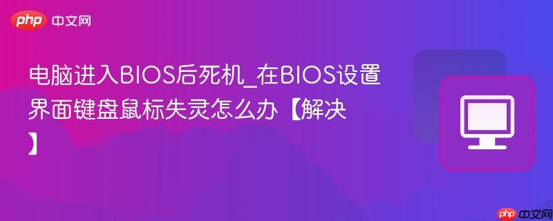 电脑进入BIOS后死机_在BIOS设置界面键盘鼠标失灵怎么办【解决】  第1张