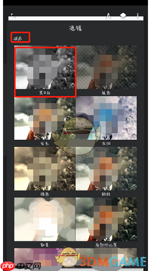 《painter》制作黑白效果教程  第2张