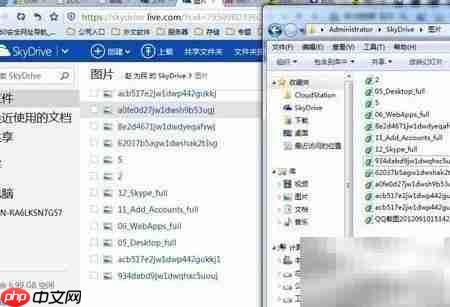 SkyDrive操作全解析  第3张