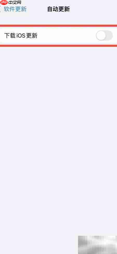 iPhone13系统自动更新设置指南  第3张