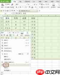 如何快速调整wps表格行高  第2张