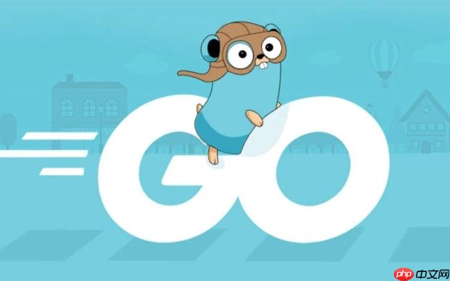 Golang反射如何读取结构体标签_Go语言tag解析方法