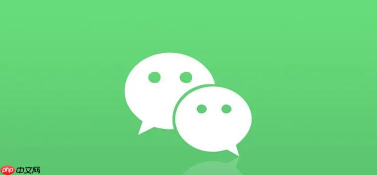 微信Web版能否传输大文件_微信Web版大文件传输限制与方案【步骤】