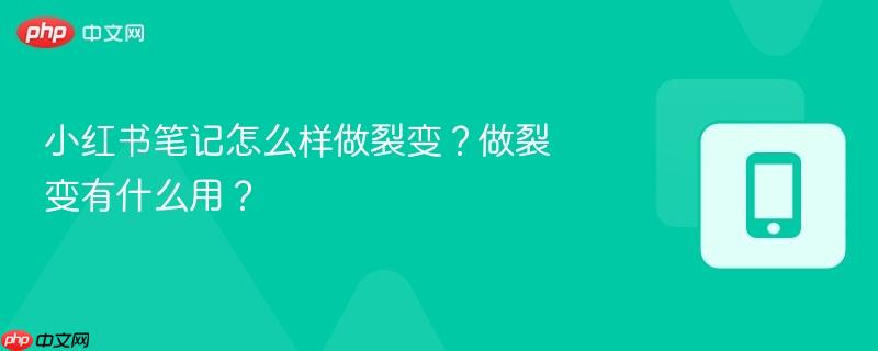 小红书笔记怎么样做裂变？做裂变有什么用？