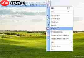 FastStone Capture屏幕标尺如何使用  第1张