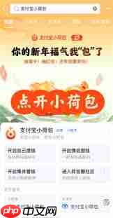 支付宝小荷包情侣自动攒是双方都自动扣钱吗  第2张