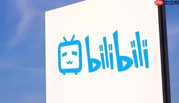 哔哩哔哩怎么设置账号绑定手机号_B站手机号绑定与安全验证设置教程