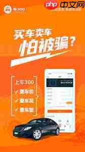 车300二手车免费评估如何使用  第2张