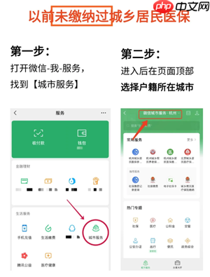 微信农村医保怎么缴费 微信农村医保缴费步骤  第2张