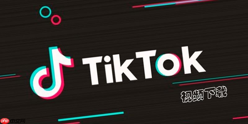 Tiktok手机版入口链接 官方App下载入口  第1张