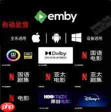 哪里能找到原版高清影视库  第1张