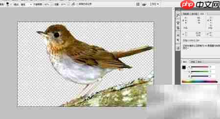 PS设计精美图片技巧  第4张