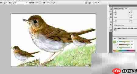 PS设计精美图片技巧  第8张