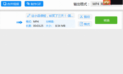 QSV转MP4：爱奇艺视频转换  第3张