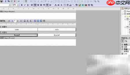 Grid++Report制作合计表格  第4张