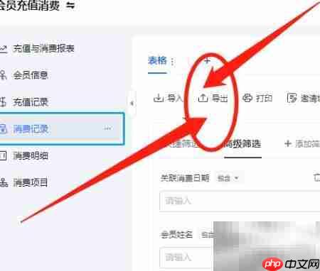 WPS会员消费记录导出方法  第2张