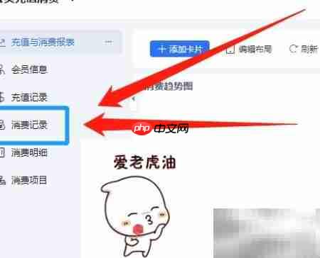 WPS会员消费记录导出方法