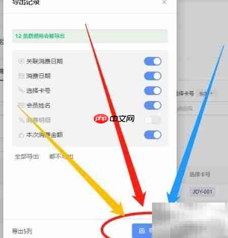 WPS会员消费记录导出方法  第3张