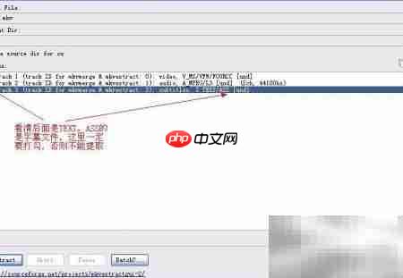 提取视频字幕技巧  第2张