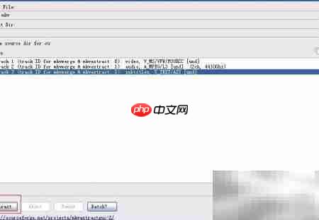提取视频字幕技巧  第3张