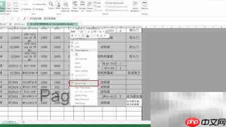 隐藏Excel窗口的简便方法  第5张