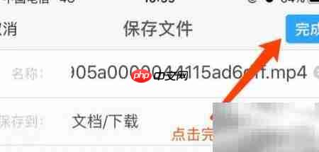 documents如何下载视频  第3张