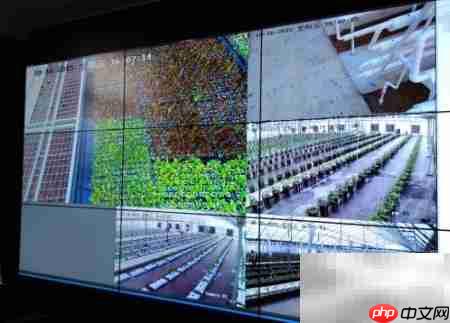 智能温室控制方案