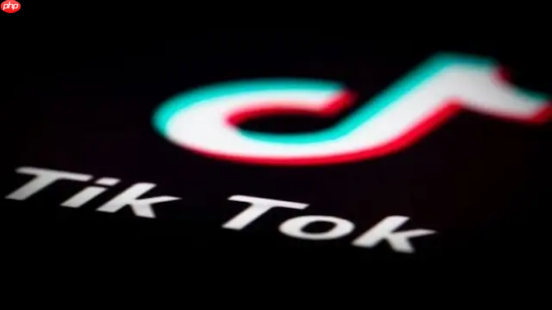 TikTok登录网页版入口 TikTok官方入口快速登录
