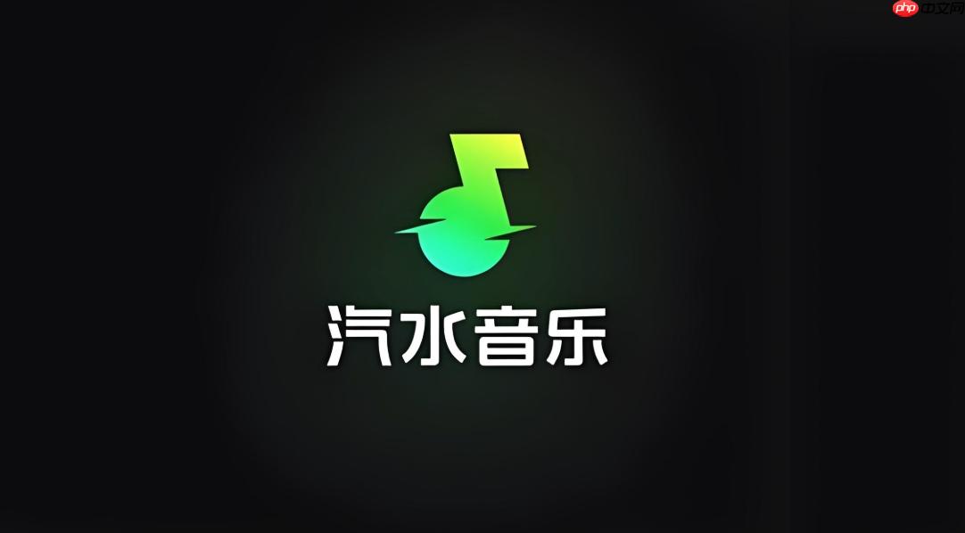 汽水音乐在线 汽水音乐在线使用入口  第1张