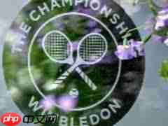 温网2025直播在哪看  第2张