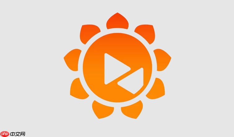 向日葵远程控制网页版访问 向日葵官网在线登录入口