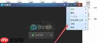 QQ影音如何导入字幕  第2张