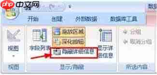 access2013如何恢复被隐藏的内容  第1张