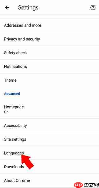 谷歌浏览器中文设置教程  第3张