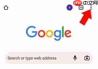 谷歌浏览器中文设置教程