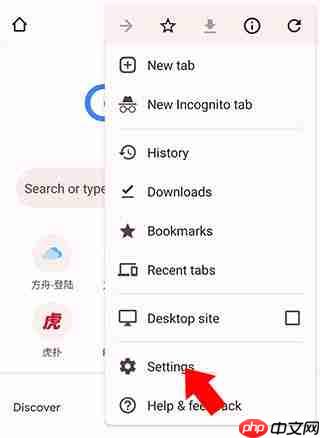 谷歌浏览器中文设置教程  第2张