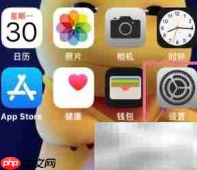 iPhone系统自动更新设置指南