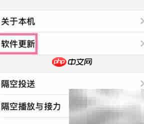 iPhone系统自动更新设置指南  第3张