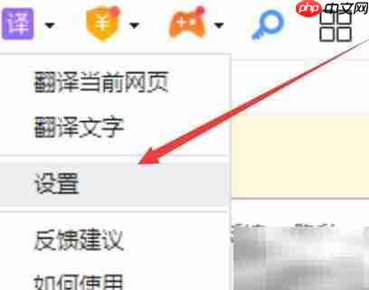 360浏览器自动翻译网页方法  第2张