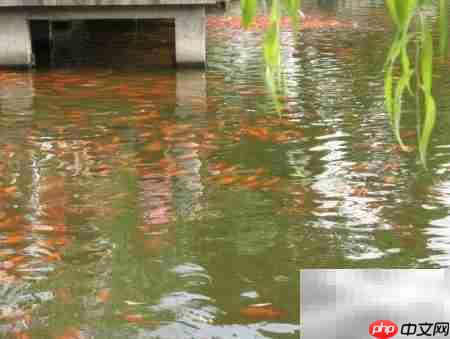 翻页相册制作全攻略