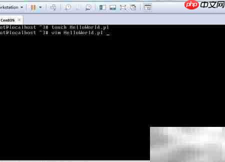 Perl编写HelloWorld入门  第3张