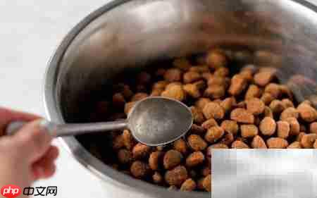 苹果醋治狗皮炎妙招  第3张