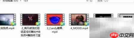 网易云音乐视频批量下载技巧