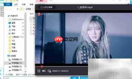 网易云音乐视频批量下载技巧  第2张
