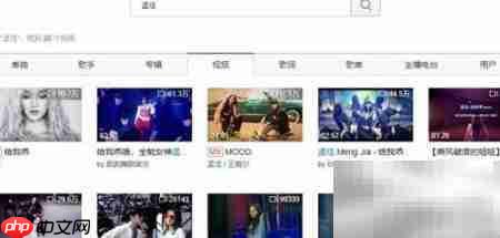 网易云音乐视频批量下载技巧  第4张