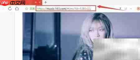 网易云音乐视频批量下载技巧  第5张