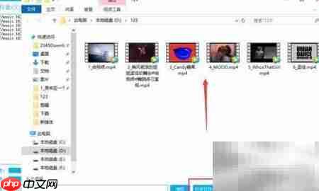 网易云音乐视频批量下载技巧  第9张