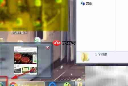 如何查看Flash Helper服务