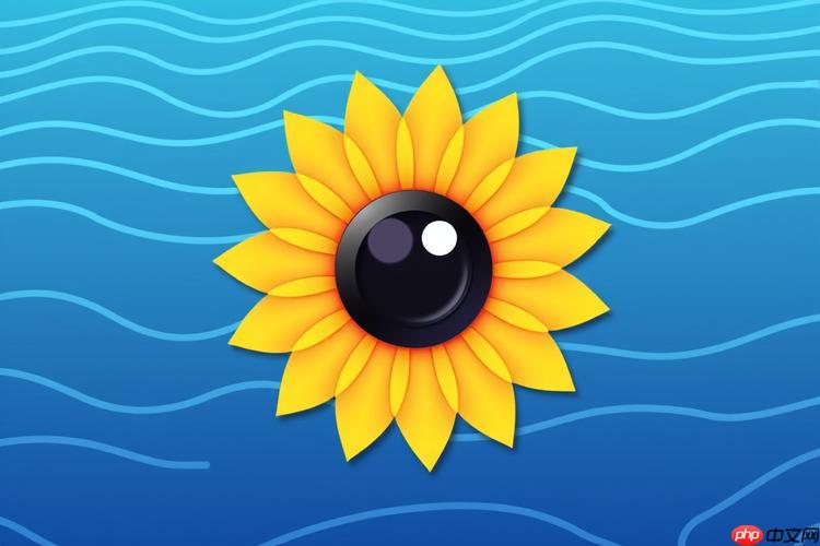 向日葵客户端怎么设置服务端隐藏_向日葵客户端服务端隐藏功能设置教程